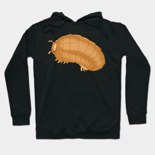 Powder Orange Isopod Hoodie